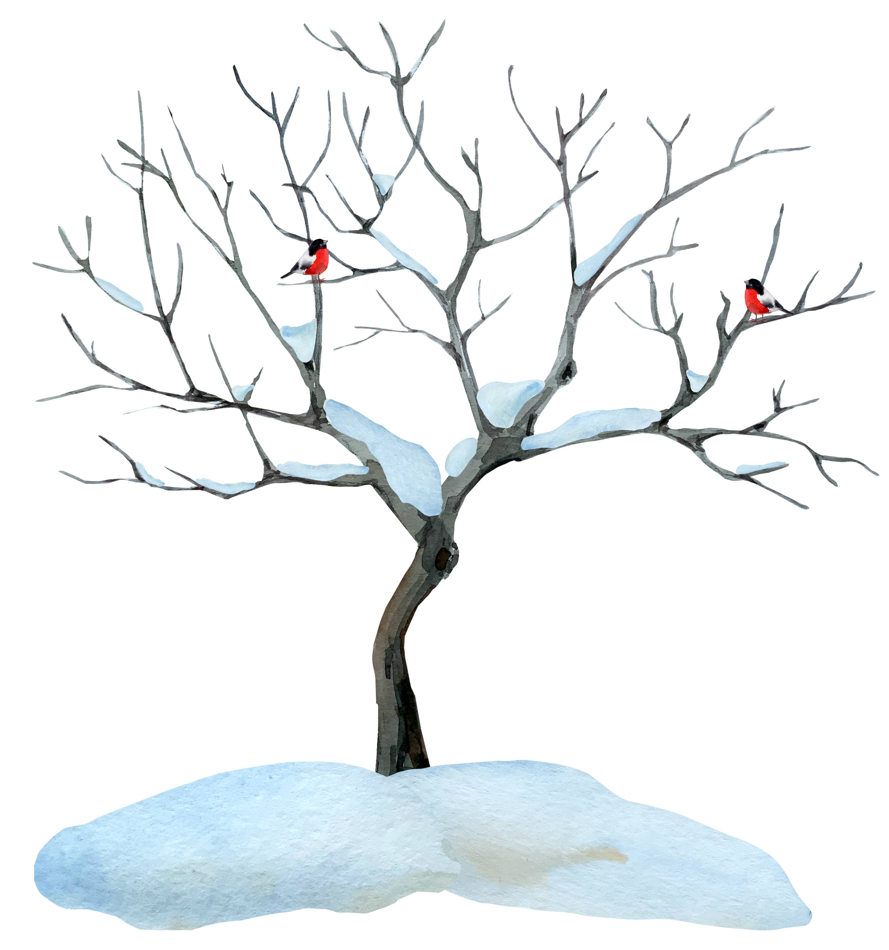 Winter Crossword Puzzles