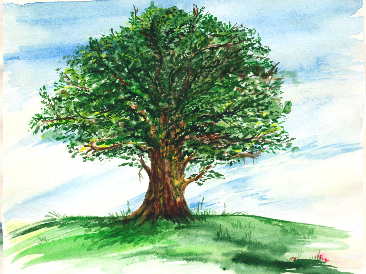 Summer Word Scrambles Summer Word Scrambles